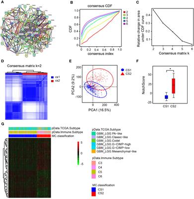 Significance of NotchScore and JAG1 in predicting prognosis and immune response of low-grade glioma